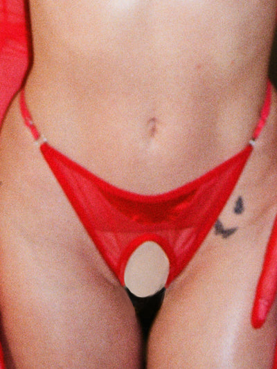 Merry Open Crotch Panties