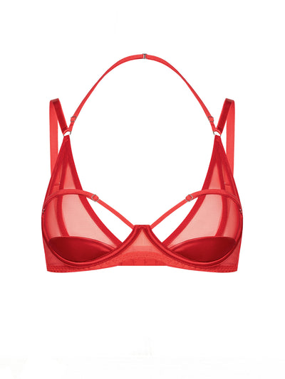 Merry Red Mesh Bra